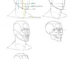 Drawing Skulls Proportions Pin by E I I On I Eµ Pinterest Drawings Anatomy Drawing and