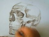 Drawing Skulls Tutorial Speed Drawing Human Skull How to Draw Skulls Video Lessons Of