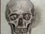 Drawing Skulls with Charcoal 94 Best Charcoal Skeleton Images Bones Human Skeleton Skeleton