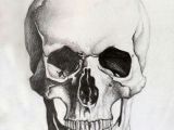 Drawing Skulls with Charcoal Skull Sketch Tattoo Skull Sketch Drawings Skull Art