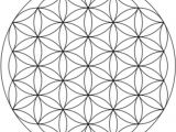 Drawing the Flower Of Life Step by Step How to Draw the Flower Of Life Snapguide