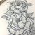 Drawing Traditional Flowers A Tattoo Pinte
