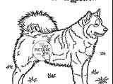 Drawing with Dogs Pet Coloring Pages 10 Images Coloring Slpash