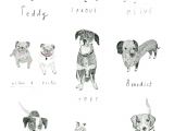 Drawing with Dogs Pin by Girl Scout On Illustrate In 2019 Drawings Illustration