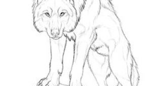 Drawing Wolf Body 180 Best Wolf Drawings Images Drawing Techniques Drawing