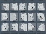 Drawing Wolf Face Step Step 25expressions Challenge Wolf by Tanathe Deviantart Com On
