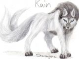 Drawing Wolf Fur Kain Bisaboard