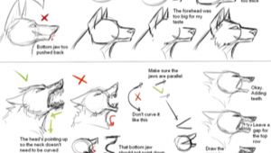 Drawing Wolf Head Step Step How I Draw Wolf Heads by theshadowedgrim On Deviantart Animal