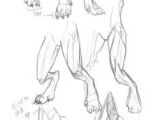 Drawing Wolf Legs 104 Best Drawing Werewolves Images Character Design Cool Drawings
