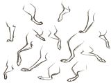 Drawing Wolf Legs Pin by Chase Francisco On Animal Tips Drawings Drawing Legs