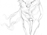 Drawing Wolf Legs Pin by Kristen Fletcher On Drawing References Lobo Dibujo Arte
