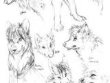 Drawing Wolf Poses 180 Best Wolf Drawings Images Drawing Techniques Drawing