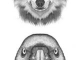 Drawings Of A Little Wolf 109 Best Wolf Images Wolf Drawings Art Drawings Draw Animals