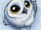 Drawings Of Birds Eyes Pin by Sheila norfus On Owl Art Pinterest Owl Owl Art and Snowy Owl