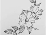 Drawings Of Birth Flowers May Birth Flower Drawing Flowers Healthy