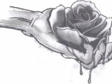 Drawings Of Bleeding Roses 12 Best Bleeding Roses Images Bleeding Rose Black Rose Flower