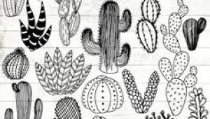 Drawings Of Cactus Flowers Line Drawing Of Cactus Bing Images Tattoos In 2019 Cactus
