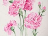 Drawings Of Carnation Flowers 59 Best Pink Carnation Art Decor Images Pink Carnations Gamma