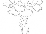 Drawings Of Carnation Flowers Image Result for Carnation Flowers Drawing Drawing Inspirations