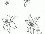 Drawings Of Different Flowers 100 Best How to Draw Tutorials Flowers Images Drawing Techniques