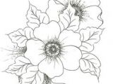 Drawings Of Different Flowers 1147 Best Drawing Flowers Images In 2019 Doodles Little Tattoos