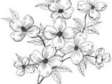 Drawings Of Different Flowers 215 Best Flower Sketch Images Images Flower Designs Drawing S