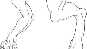 Drawings Of Dragons Feet How to Draw Dragon Legs Arms and Talons Step 7 Dragons Pinterest