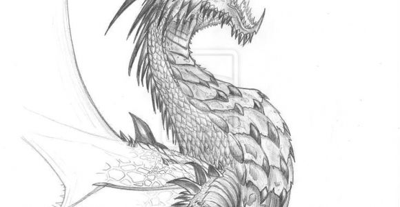 Drawings Of Dragons Fighting Pin by Tambre Kay On Expression Dragon Dragon Sketch Realistic