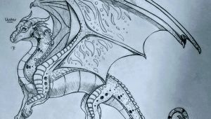 Drawings Of Dragons From Wings Of Fire Rainwing Wings Of Fire In 2018 Pinterest Wings Of Fire Wings