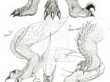 Drawings Of Dragons Laying Down How to Draw Dragon Claws Jiragon Arm and Claw Sketches Pick Up A