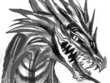 Drawings Of Dragons with Skulls 9 Best Dragon Drawlings Images Dragon Drawings Dragons Drawings