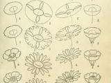 Drawings Of Dying Flowers Die 26 Besten Bilder Von Zeichnen Lernen Drawings Paint Und