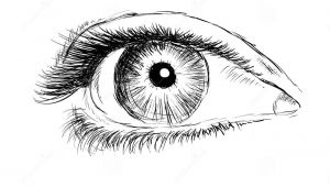 Drawings Of Eyes On Hands Hand Drawing Eye On A White Background Stock Illustration