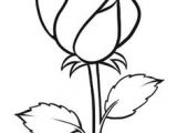 Drawings Of Flower Buds 163 Best How to Draw Rose Images Drawings Drawing Flowers How to