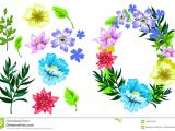 Drawings Of Flower Leaves Vector Hand Drawn Sketch Style Flower Set Stock Vector