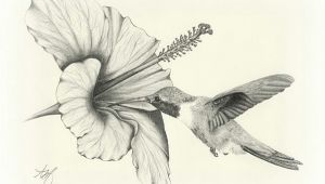 Drawings Of Flowers and Animals Amazing Pencil Drawings Flowers Drawing Sketch Art Wildlife Bird