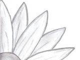 Drawings Of Flowers for Beginners Easy Drawings for Beginner Artists Google Search Door Hangers In