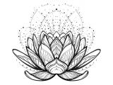 Drawings Of Flowers Lotus 9 Royalty Free Sacred Lotus Clip Art Vector Images Illustrations