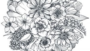 Drawings Of Flowers Pdf Floral Composition Bouquet with Hand Drawn Spring Flowers and