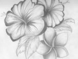 Drawings Of Flowers Shading 61 Best Art Pencil Drawings Of Flowers Images Pencil Drawings