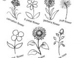Drawings Of Flowers that are Easy Pin by Gabriele Ruggaber Rapp On Calligraphy Doodles Drawings