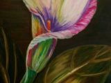 Drawings Of Flowers with Oil Pastels 455 Best Paintings In Pastel Images In 2019 Oil Pastels Cool