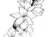 Drawings Of Gladiolus Flowers 2614 Best Gladiolus Images In 2019 Beautiful Flowers Planting