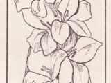 Drawings Of Gladiolus Flowers Gladiolus Flower Drawing Images Beautiful Coloring Pages