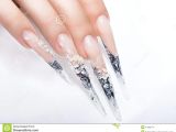 Drawings Of Hands with Nails Human Fingers with Long Fingernail and Beautiful Stock Photo Image