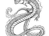 Drawings Of Japanese Dragons 8 Best Dragon Images Japanese Dragon Drawings Dragon Head