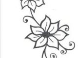 Drawings Of Jasmine Flower 21 Best Simple Jasmine Flower Tattoo Tumblr Images Tatoos Ink