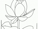 Drawings Of Lotus Flower Printable Lotus Flower Coloring Pages Coloring 3 Coloring Pages