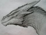 Drawings Of Medieval Dragons Image Result for Dragon Drawing Art Inspiration Dragon Sketch