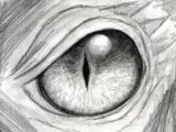 Drawings Of Monster Eyes 102 Best Dragon Eye Value Drawing Images In 2019 Dragon Eye